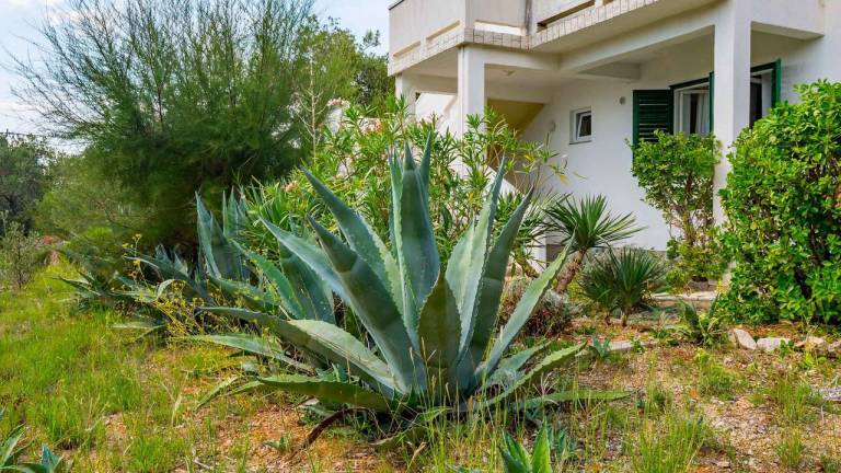 Ferienwohnung  Barbat