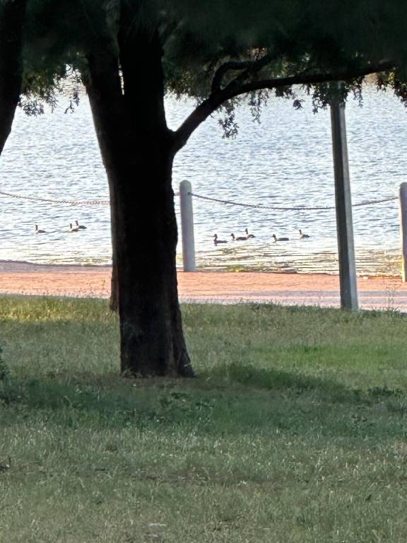 foto23