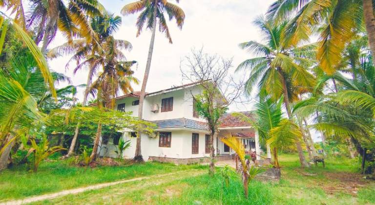 White Sands Homestay