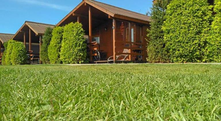 House | Dogs allowed in Darlowo