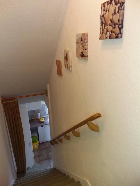 foto31