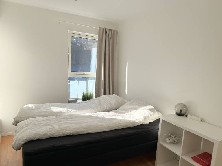 foto12