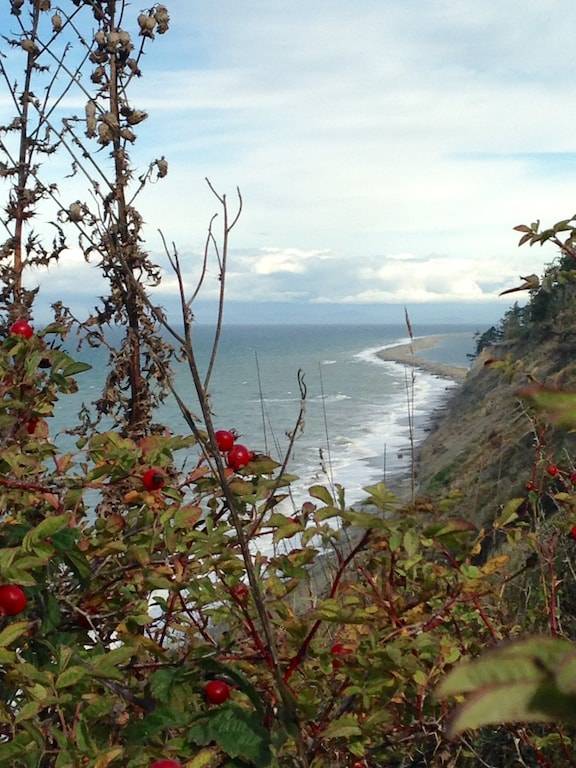Mobile home Port Angeles