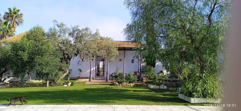 foto19