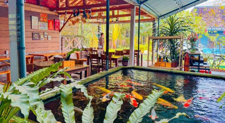 Vacation home with terrace, garden & pool | Perfect for remote work — photo 5