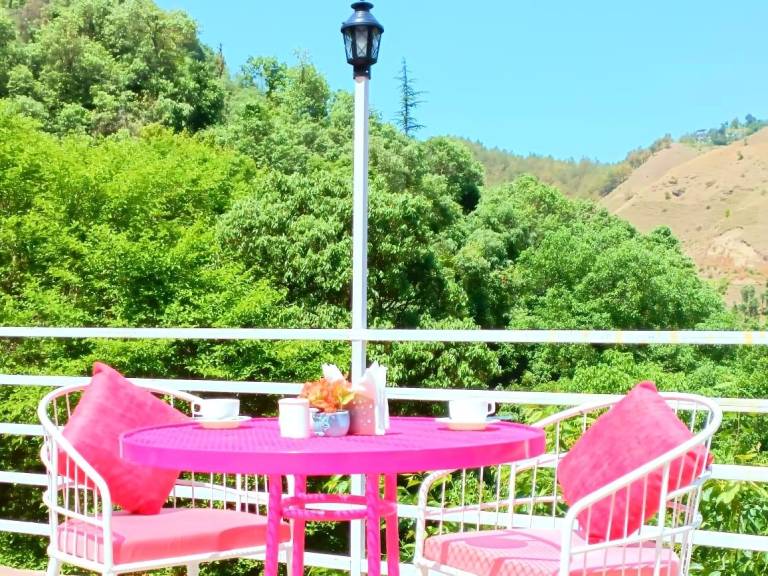 Aaroham by Aamod - Shoghi (Shimla) — photo 4