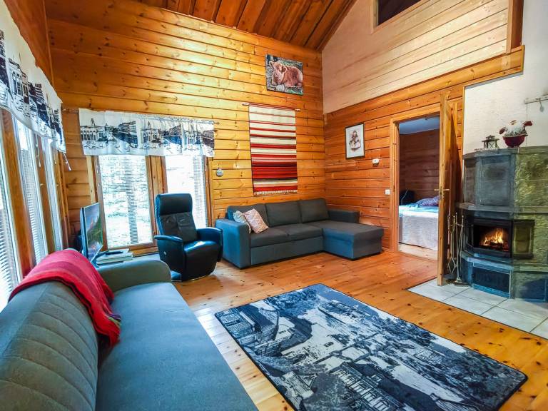 Vacation home with sauna | Pets are welcome — photo 3