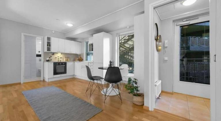 Cozy and modern apartment in the heart of OSLO in Oslo