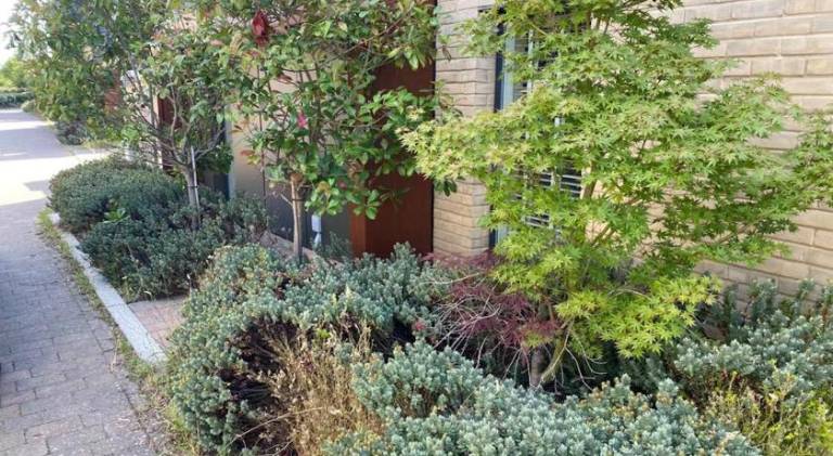 Vacation home | Dogs allowed in Cambridge