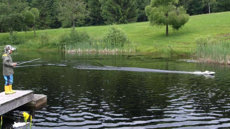 Ferienwohnung Spiegelau
