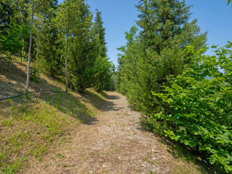 foto49
