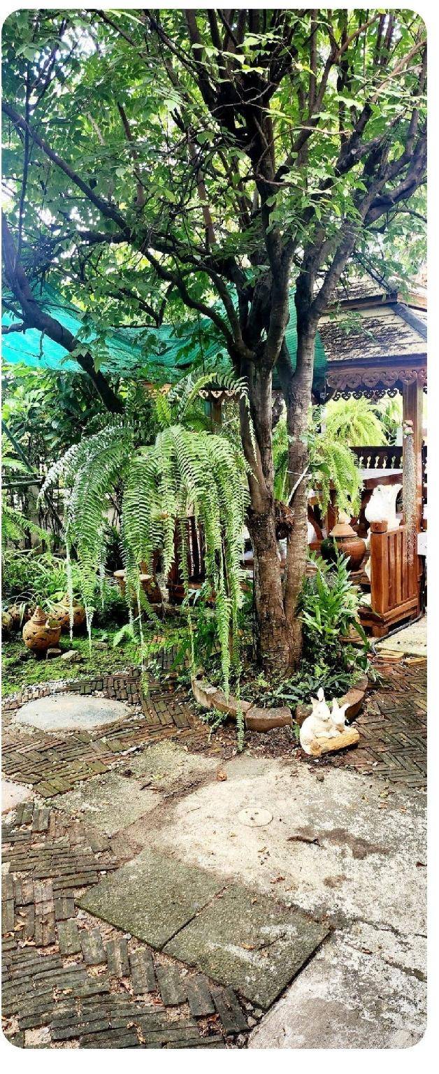 foto11