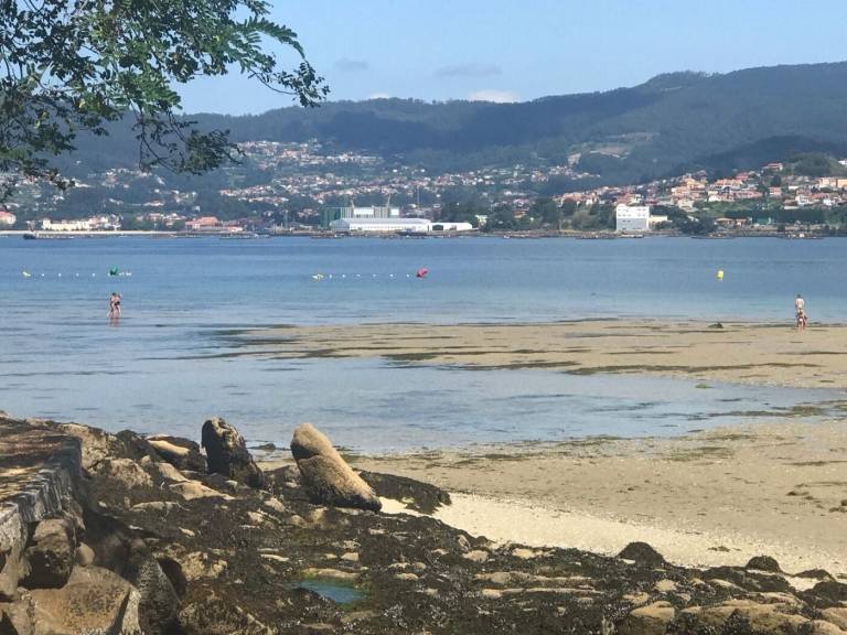 Apartamento  Vigo