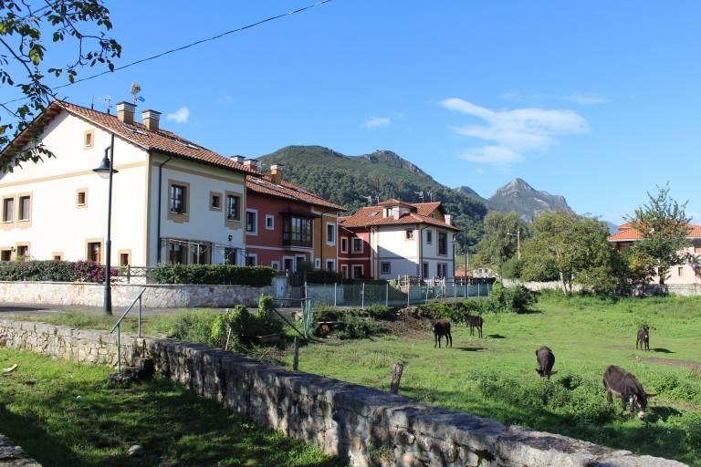 Apartamento Nueva