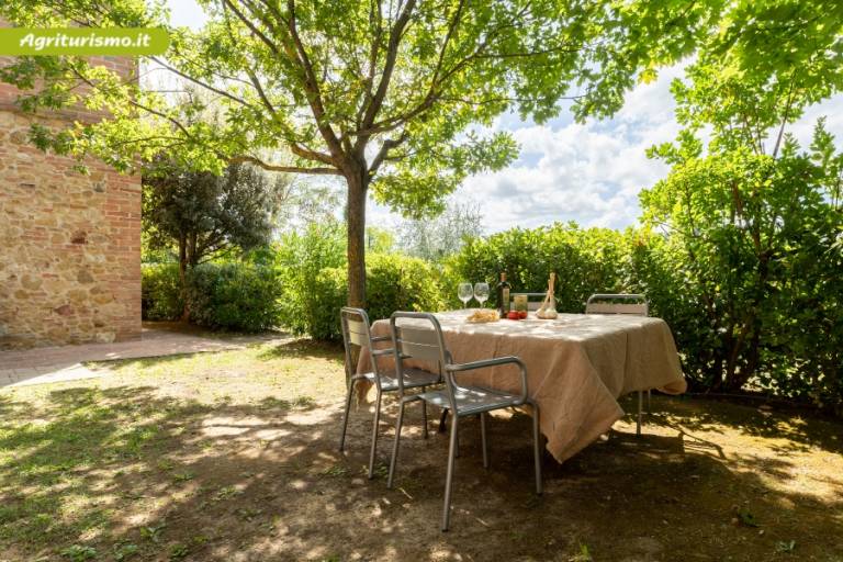 Il Sasso di Montepulciano: Leccino — photo 3