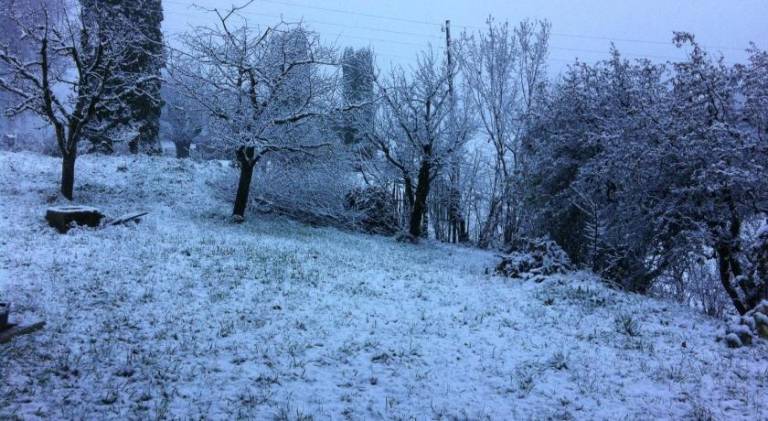 foto31