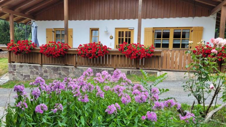 Ferienhaus Zwiesel Regen Cham