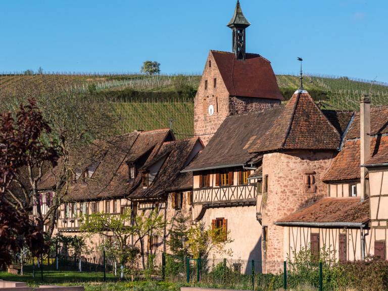 Holiday apartment with barbecue in Riquewihr