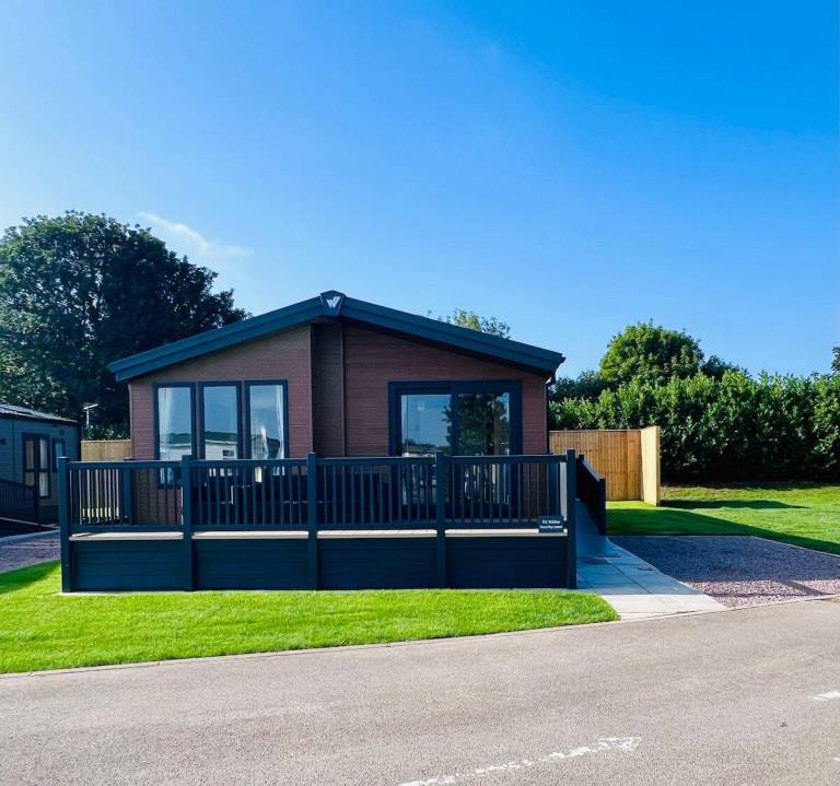 Sweet Bay Laurel in Skegness