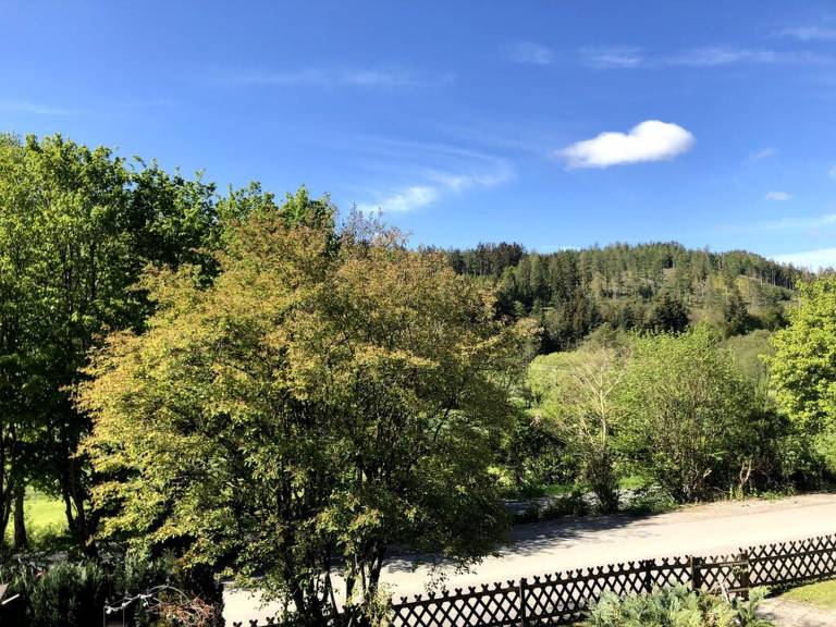 foto11