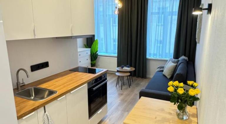 Rental apartment | Next to Gate of Dawn | Perfect for remote work in Vilnius