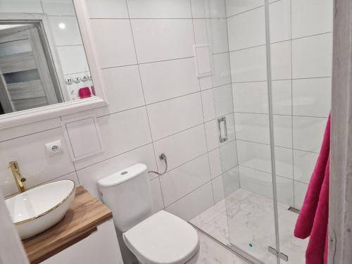 Apartament Malbork