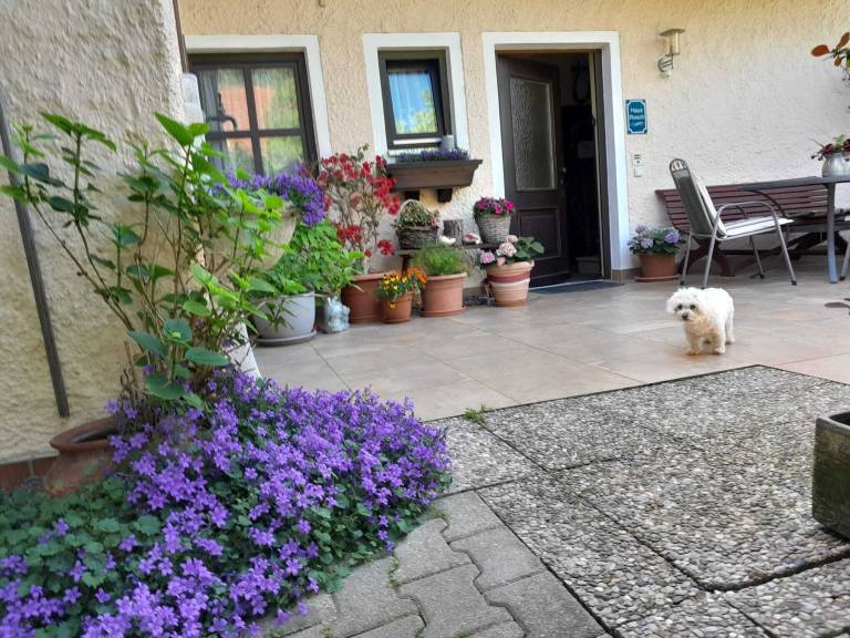 Ferienwohnung Laufen