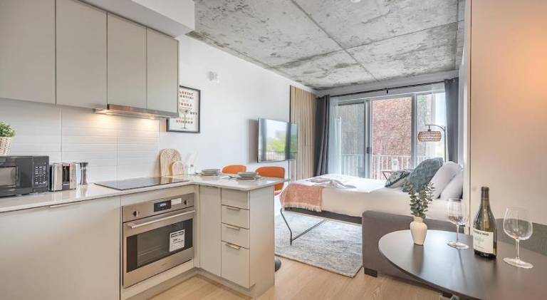 Rental apartment | Near Notre-Dame Basilica | Pet-friendly in Montréal, QC