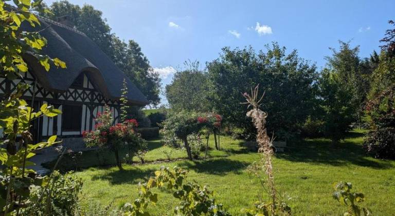 foto12