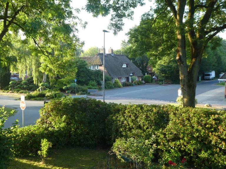 foto16