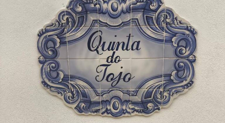 Farm with terrace, pool & yard | Good for workation | Pets are welcome in Viseu