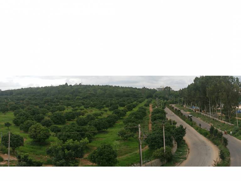foto1