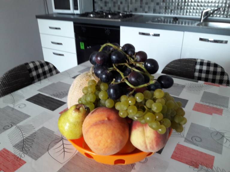 foto15