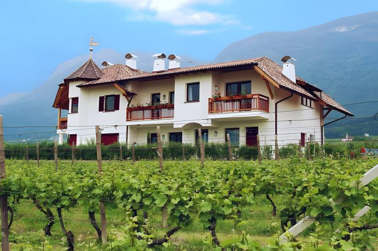 Appartamento  Appiano sulla strada del vino