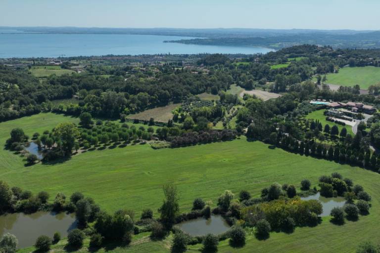 foto12