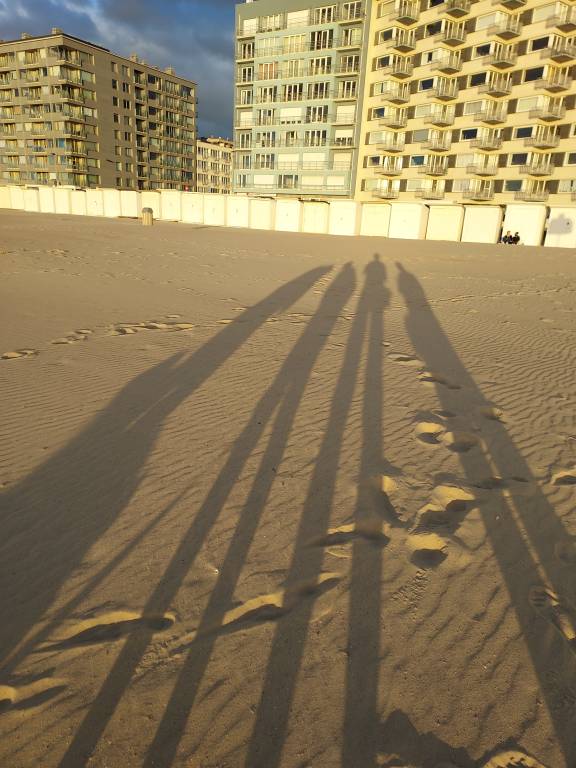 foto11