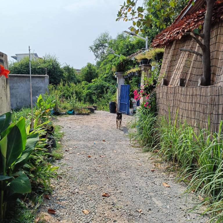 Vacation home | Dogs allowed in Siem Reap