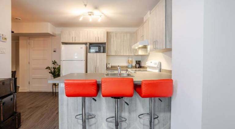 Cozy and Spacious Condo Downtown — photo 3