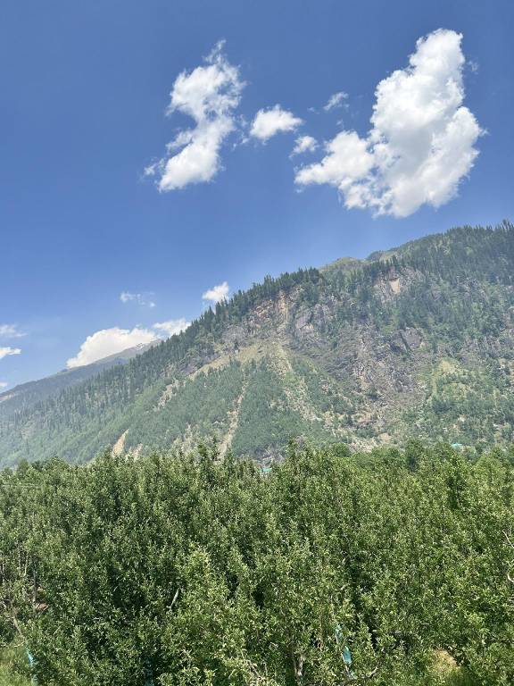 Bungalow with terrace, BBQ & yard | Pets allowed in Kullu