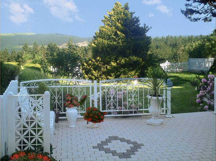 foto5