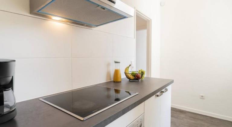 Zentrale Wohnung bis 10 Personen — photo 4