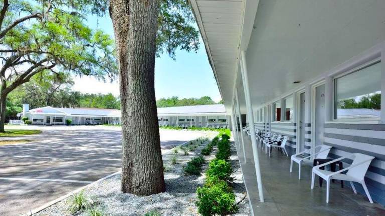 Sun Plaza Motel — photo 3