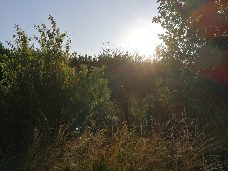 foto14