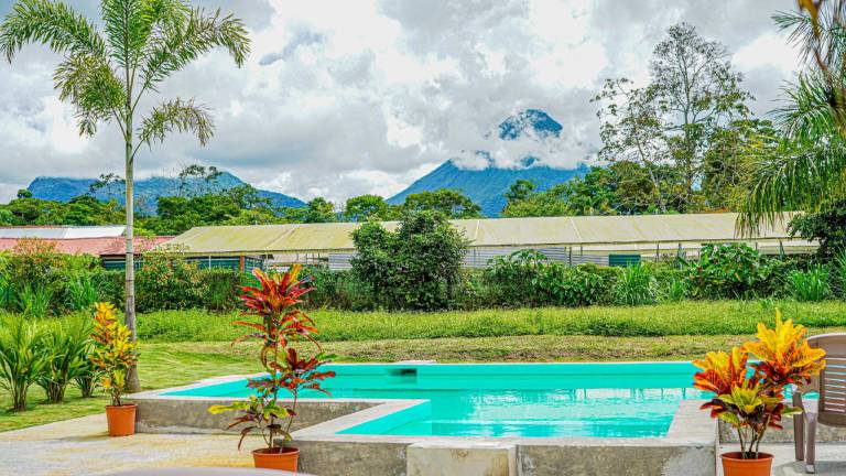 La Palmera Real — photo 4