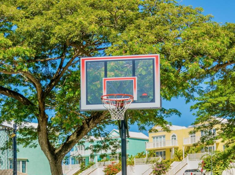 House  Hanover Parish