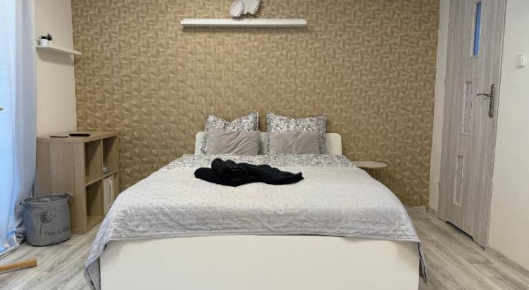 Lovely rental apartment | Pets allowed in Ostrava