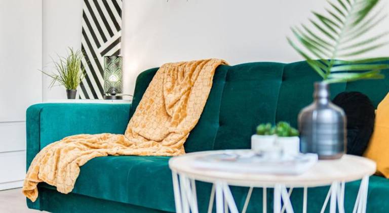 Beautiful rental apartment | Pets are welcome — photo 4
