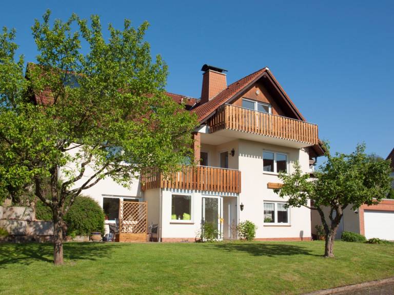 foto1