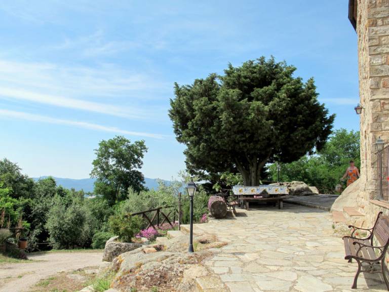 foto12