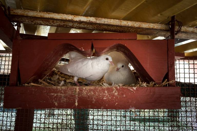 foto31